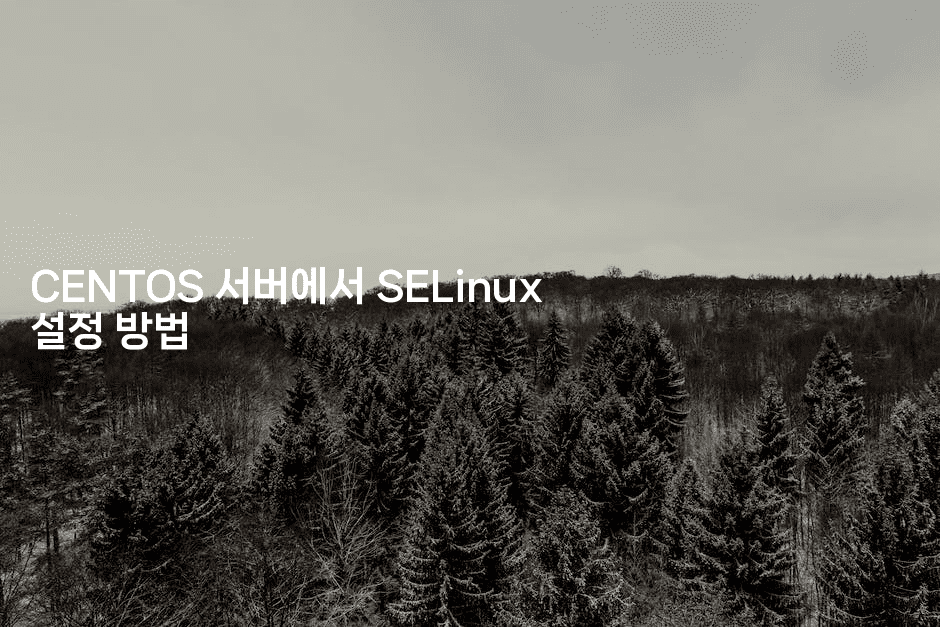 CENTOS 서버에서 SELinux 설정 방법
-보안냥이