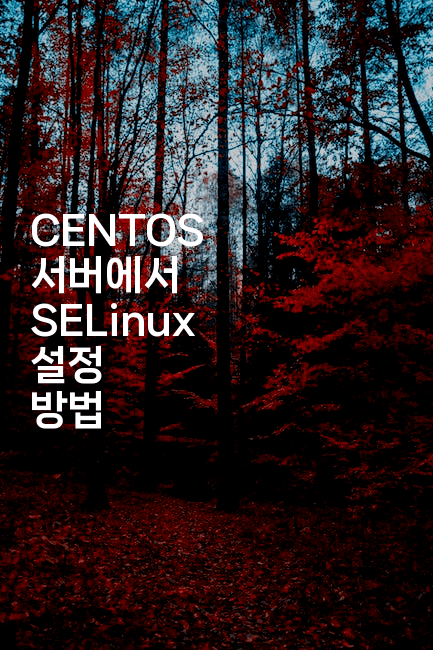 CENTOS 서버에서 SELinux 설정 방법
2-보안냥이