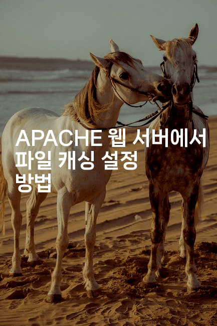 APACHE 웹 서버에서 파일 캐싱 설정 방법