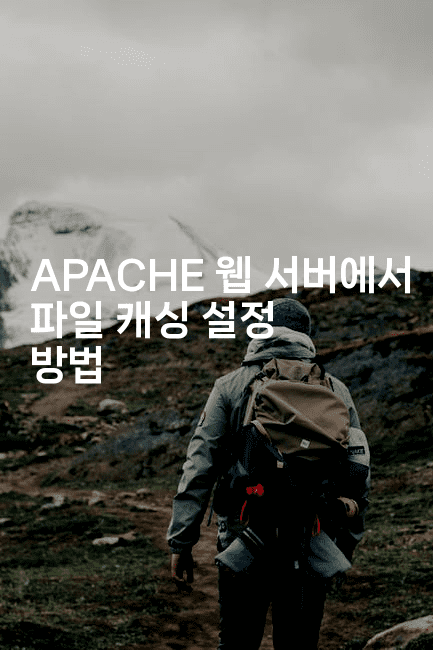 APACHE 웹 서버에서 파일 캐싱 설정 방법
2-보안냥이