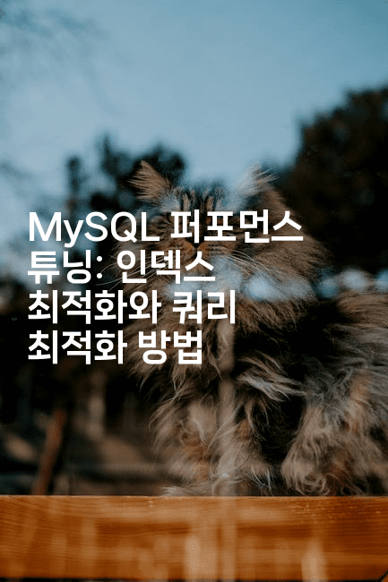 MySQL 퍼포먼스 튜닝: 인덱스 최적화와 쿼리 최적화 방법
2-보안냥이