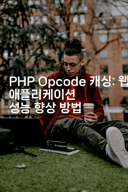 PHP Opcode 캐싱: 웹 애플리케이션 성능 향상 방법
-보안냥이