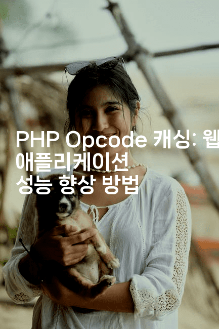 PHP Opcode 캐싱: 웹 애플리케이션 성능 향상 방법
2-보안냥이