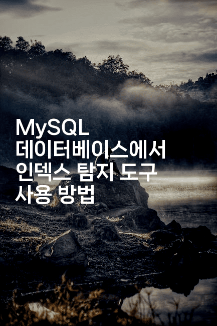 MySQL 데이터베이스에서 인덱스 탐지 도구 사용 방법
-보안냥이