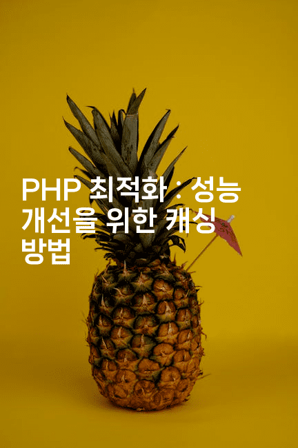 PHP 최적화 : 성능 개선을 위한 캐싱 방법
2-보안냥이