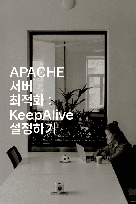 APACHE 서버 최적화 : KeepAlive 설정하기
-보안냥이