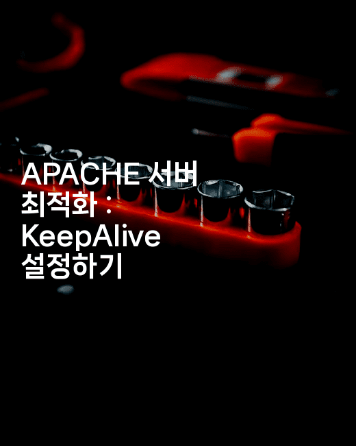 APACHE 서버 최적화 : KeepAlive 설정하기
2-보안냥이