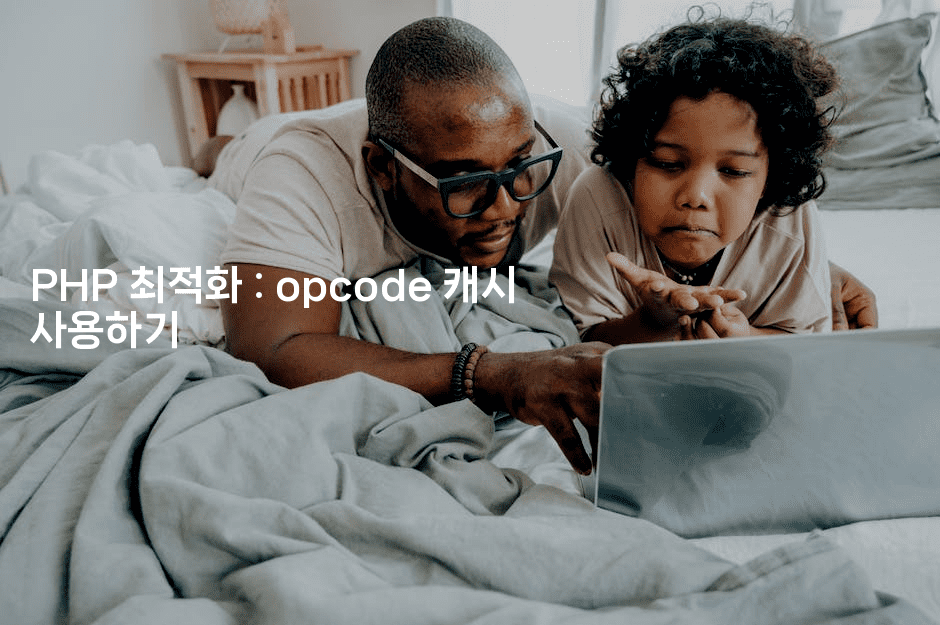 PHP 최적화 : opcode 캐시 사용하기
-보안냥이