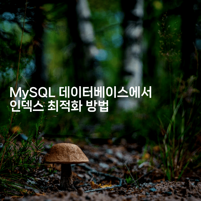 MySQL 데이터베이스에서 인덱스 최적화 방법
2-보안냥이