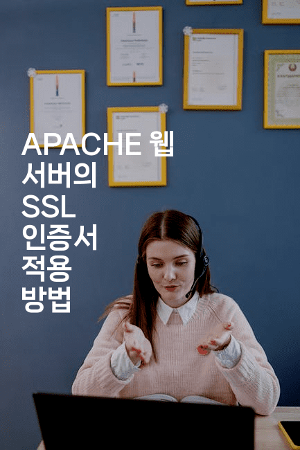 APACHE 웹 서버의 SSL 인증서 적용 방법
-보안냥이