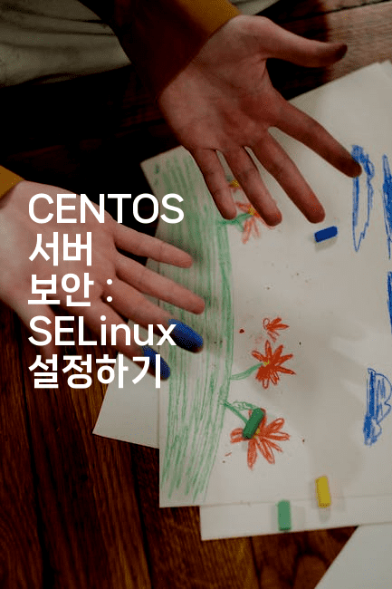 CENTOS 서버 보안 : SELinux 설정하기
-보안냥이