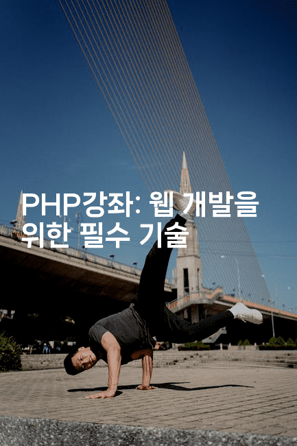 PHP강좌: 웹 개발을 위한 필수 기술2-보안냥이
