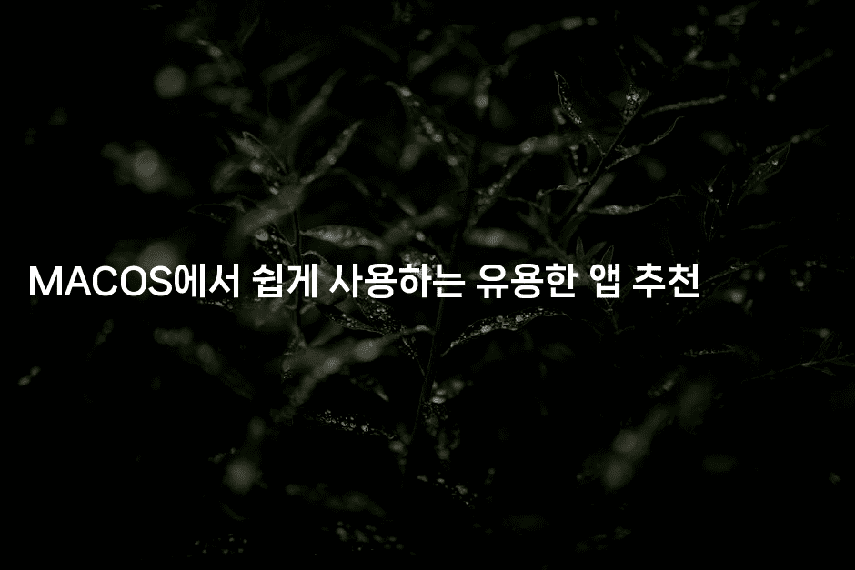 MACOS에서 쉽게 사용하는 유용한 앱 추천2-보안냥이