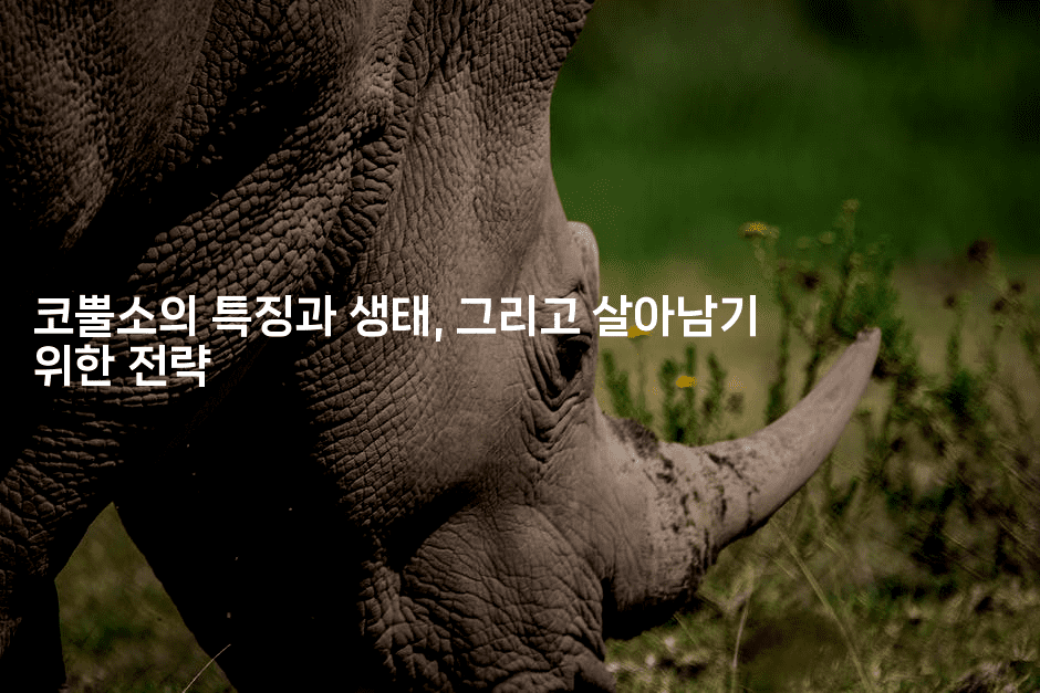 코뿔소의 특징과 생태, 그리고 살아남기 위한 전략