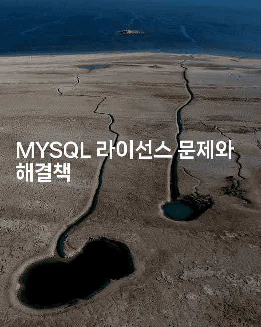 MYSQL 라이선스 문제와 해결책-보안냥이