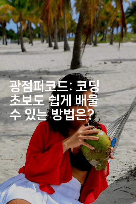 광점퍼코드: 코딩 초보도 쉽게 배울 수 있는 방법은?2-보안냥이