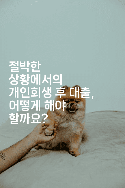 절박한 상황에서의 개인회생 후 대출, 어떻게 해야 할까요?-보안냥이