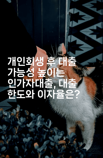 개인회생 후 대출 가능성 높이는 인가자대출, 대출 한도와 이자율은?