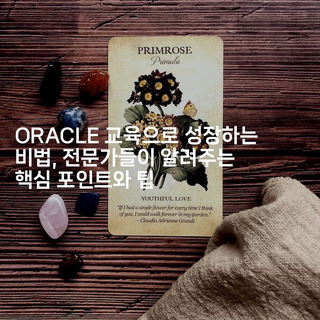 ORACLE 교육으로 성장하는 비법, 전문가들이 알려주는 핵심 포인트와 팁2-보안냥이