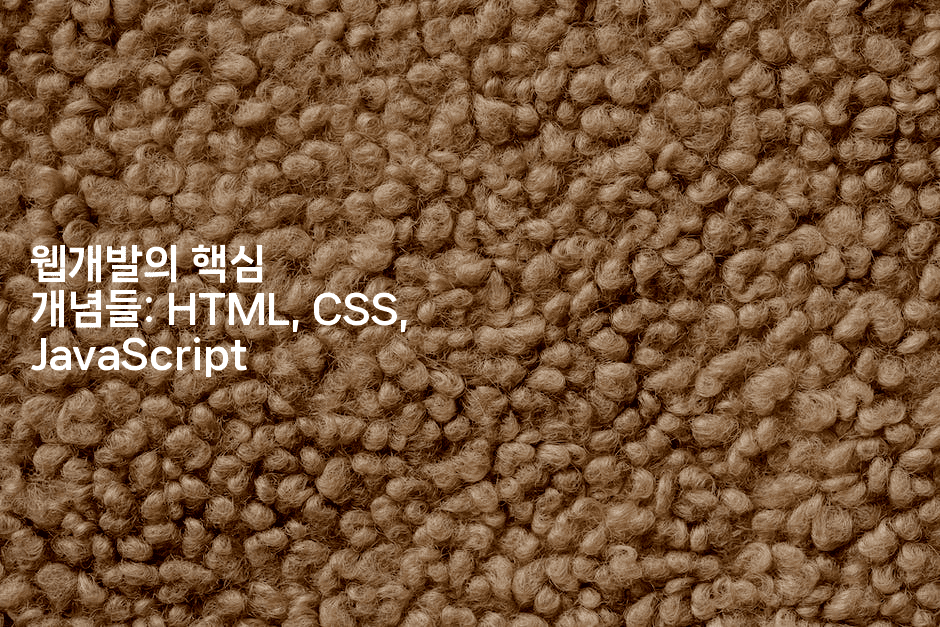 웹개발의 핵심 개념들: HTML, CSS, JavaScript2-보안냥이