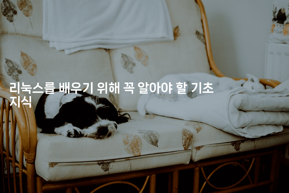 리눅스를 배우기 위해 꼭 알아야 할 기초 지식2-보안냥이