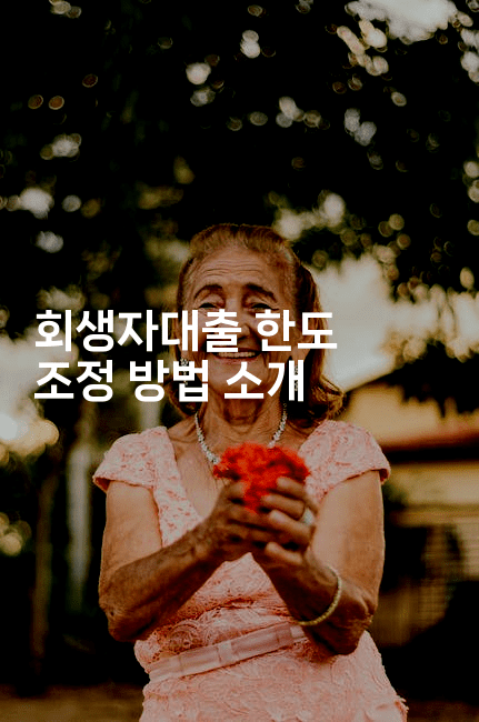 회생자대출 한도 조정 방법 소개-보안냥이