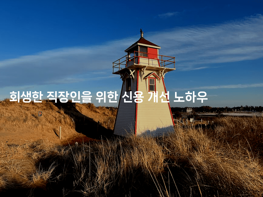 회생한 직장인을 위한 신용 개선 노하우