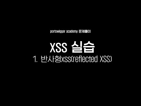 13. 웹취약점실습 : 반사형 xss 취약점 Reflected XSS into HTML context with nothing encoded