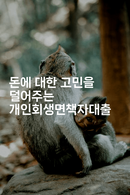 돈에 대한 고민을 덜어주는 개인회생면책자대출-보안냥이