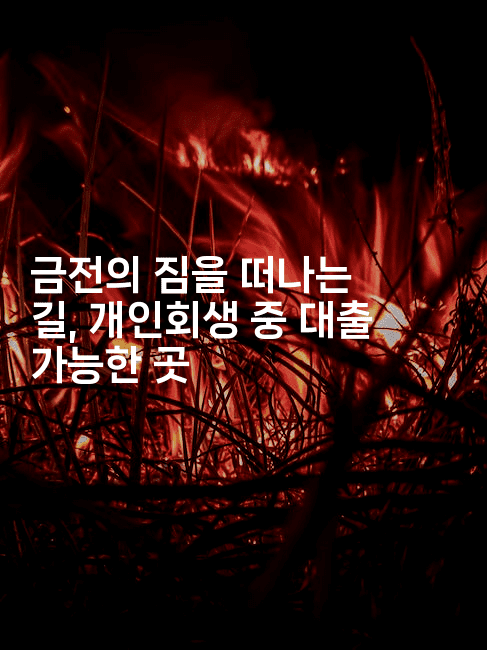 금전의 짐을 떠나는 길, 개인회생 중 대출 가능한 곳